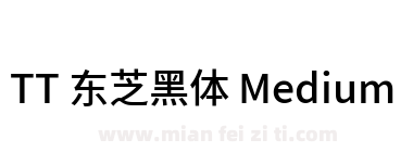 TT 东芝黑体 Medium下载