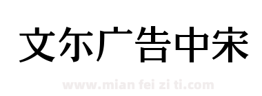 文尓广告中宋下载