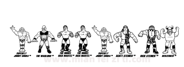 Retro Hasbro WWF Figures下载