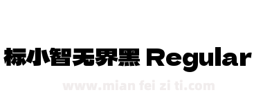 标小智无界黑 Regular下载