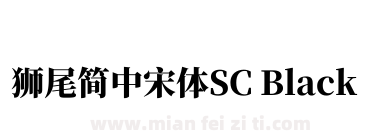 獅尾簡中宋體SC Black下载