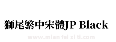 獅尾繁中宋體JP Black下载
