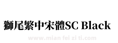 獅尾繁中宋體SC Black下载