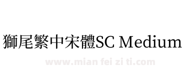 獅尾繁中宋體SC Medium下载