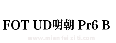 FOT UD明朝 Pr6 B下载