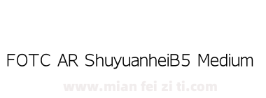 FOTC AR ShuyuanheiB5 Medium下载