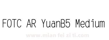 FOTC AR YuanB5 Medium下载