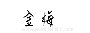 金梅钢笔下载