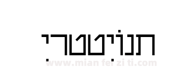 Shalom Stick下载