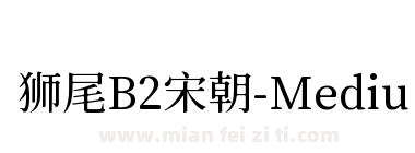 狮尾B2宋朝-Medium