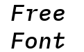 IBM Plex Mono Medium Italic
