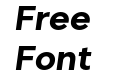 Biotic Bold Italic