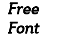 Steinem Bold Italic 14B