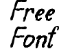 Beegal Italic Demo god4