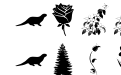 Nature Pro zval