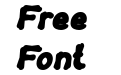 Tortoise Bold Italic 1G Dp4