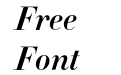 Didot-HTF-B16-Bold-Ital_0
