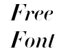 Didot-HTF-B96-Bold-Ital_0