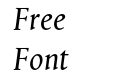 Aries Italic