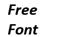 Calibri Bold Italic_9054