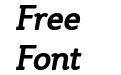 Steinem Bold Italic