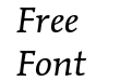 Mendoza Roman Book Italic