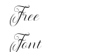 Maldini Script Italic Italic