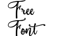 Handy Ink Personal Use