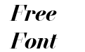 NN Didot Modern STD Bold Italic