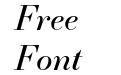 Essonnes Test Display Italic