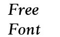 FSP DEMO Ozzie Medium Italic Regular