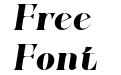 FSP DEMO Zenoa Black Italic