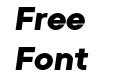 Primeform Pro Demo Black Italic