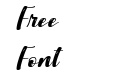 Aryaka Italic Italic