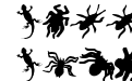 Ann Crawlers