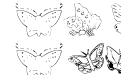 Butterfly Heaven