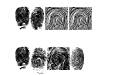 finger print tfb