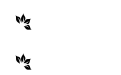 Leafs