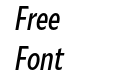 MalloryTRIALX Condensed Book Italic
