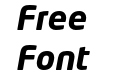 Neo Tech Bold Italic