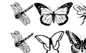 wminsects1