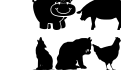 Farm & Wild Animals