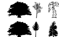wmtrees1