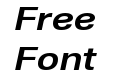 Nuber Next W05 Bold Wide Italic