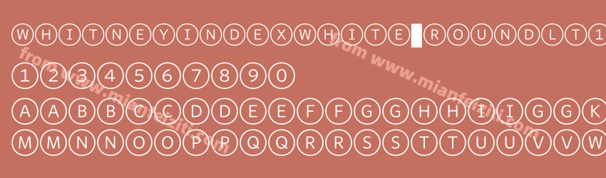 Whitney Index White Round Lt1预览图1