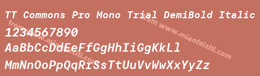 TT Commons Pro Mono Trial DemiBold Italic预览图1