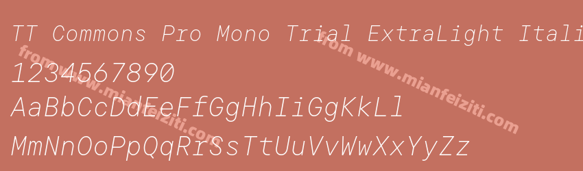TT Commons Pro Mono Trial ExtraLight Italic预览图1