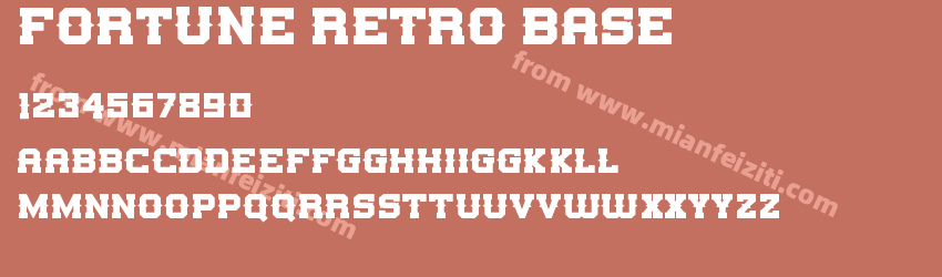 Fortune Retro Base预览图1