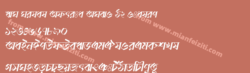 FN Nihal Adrita ANSI V2 Italic预览图1