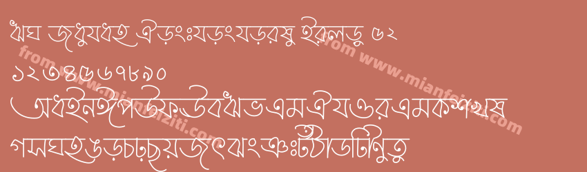 FN Rayhan Hosthoshoily Bijoy 52预览图1